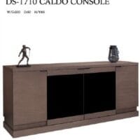 DS-1710CONSOLE