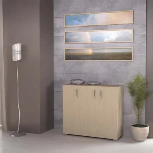 Παπουτσοθήκη 2