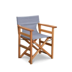 Πολυθρόνα σκηνοθέτη